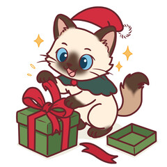 Fototapeta premium Cute Ragdoll Cat Opening Christmas Gift Box