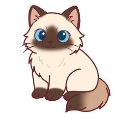 Cute Ragdoll Cat with Blue Eyes Sitting