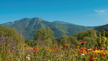 Beautiful mountain scenery beneath a clear blue sky, highlighting seasonal change