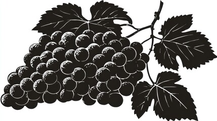 Obraz premium Black grape cluster illustration with leaves vector graphic for design
