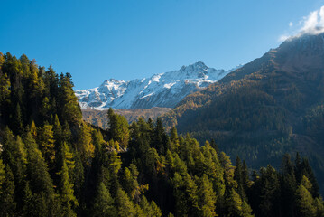 Colorful Autumn Forest and Rocky Mountains in the Alps