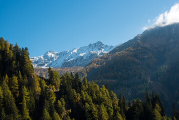 Alps Mountains with Green and Yellow Forest