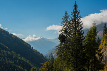 Colorful Autumn Forest and Rocky Mountains in the Alps