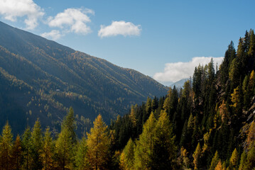 Colorful Autumn Forest and Rocky Mountains in the Alps