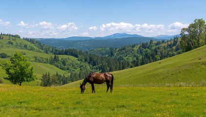 Obraz premium Equine amidst lush green fields in a scenic valley