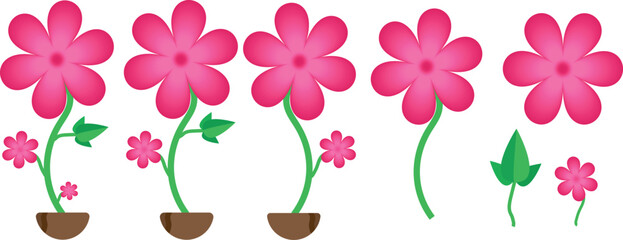 Pink flower vector set with green leaves and flower pot isolated on a white background