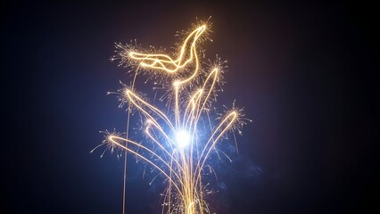 A sparkler art piece, depicting a glowing bird on a flower, against a dark sky