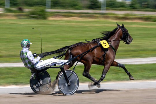 Modena, Italy &ndash; 09 18 2025: Racing horses trots and rider on a track of stadium. Competitions for trotting horse racing. Horses compete in harness racing. Horse runing at the track with rider.
