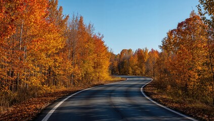 Fototapeta premium Asphalt road surrounded by autumn foliage, seasonal change