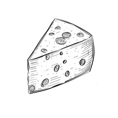 Cheese vector line art hand drawn illustration 