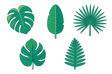 Fototapeta premium Collection of various green tropical jungle leaves and exotic foliage elements on a white background