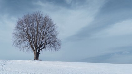 Winter scene with snow-blanketed terrain and a barren tree up front, depicting a snowy park atmosphere.