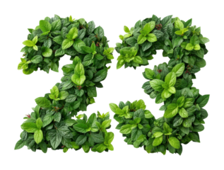 Floral number display 23 nature green leaves isolated on transparent background