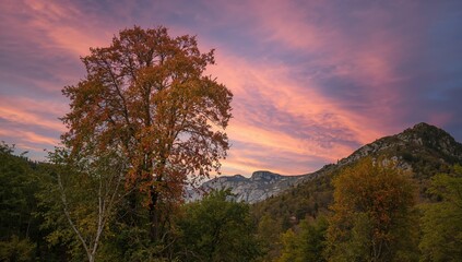 Fototapeta premium Fall Forecast