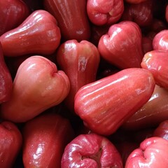 Fresh Red Rose Apple Fruit (Jambu Air) – Tropical Exotic Fruit from Asia