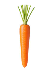 Vibrant orange carrot with bright green foliage, upright, on transparent studio background with soft shadowless light and copy space, concept of natural freshness and healthy nutrition