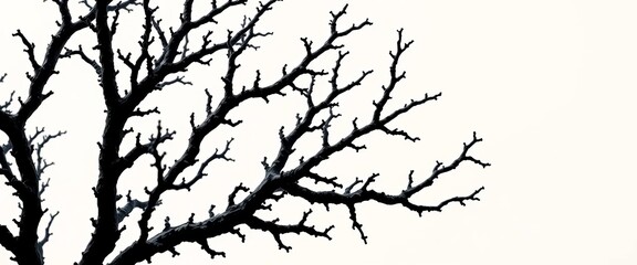 Obraz premium Intricate black coral branches, dark against a light background, black coral, branches