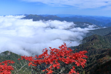 石鎚山　弥山から瓶ヶ森を眺める　（愛媛県　日本百名山）