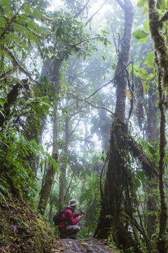 Man hiking in Monteverde Cloud forest, Costa Rica