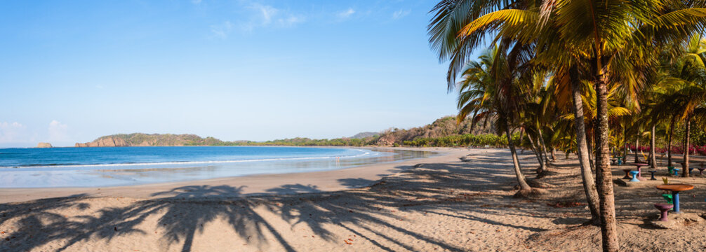 Palm fringed exotic beach at sunrise, Costa Rica