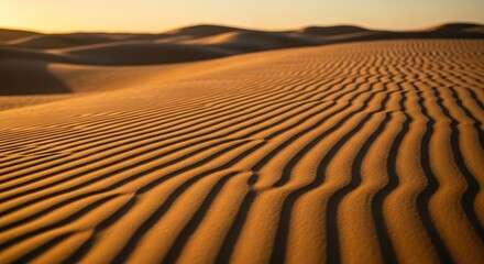 Sand Dunes Landscape at Sunset Textured Surface Pattern Desert Scenery Arid Environment Nature Background Ripples Golden Light Outdoor Tranquility