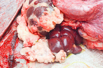 Beef cuts for Eid al-Adha charity for Muslims