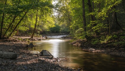 Fototapeta premium Creek flowing through a lush forest, showcasing seasonal change