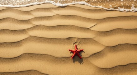 Red Starfish on Sandy Beach by Sea with Wave Water Edges Coastal Seascape Scene Tropical Holiday Vacation Calm Summer Sand Pattern Background