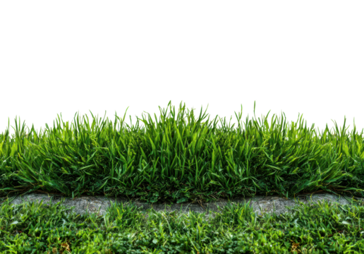 Lush green grass landscape garden nature scene daylight view isolated on transparent background - Powered by Adobe