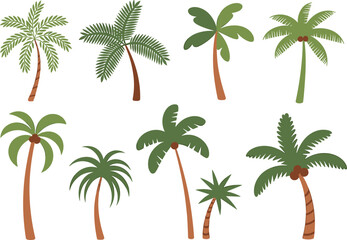 Tropical palm tree vector set, exotic island foliage illustration, coconut trees with curved trunks, green fronds, summer botanical clipart collection