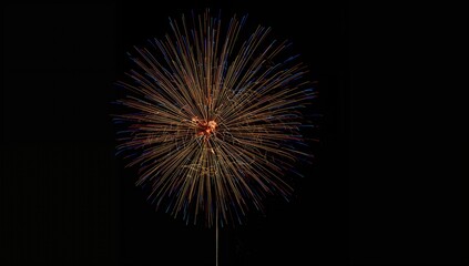 Fototapeta premium Fireworks lighting up a dark sky, festive celebration ambience