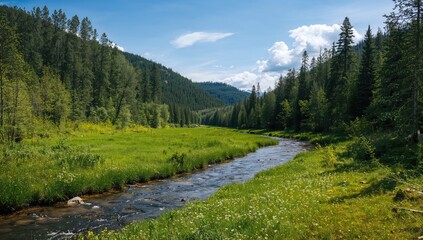 Obraz premium A mountain stream flowing through lush greenery on a hot summer day