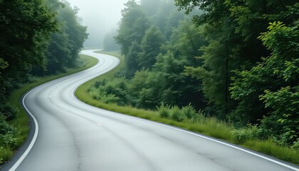 Fototapeta premium Asphalt ribbon winding through misty woodlands, inviting exploration and hinting at the mystery hidden within nature's embrace