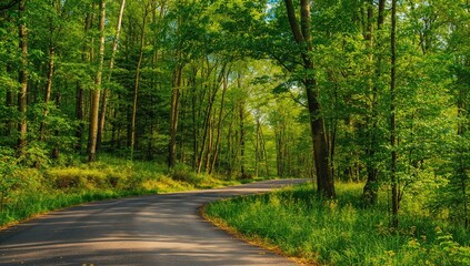 Fototapeta premium Asphalt road surrounded by lush greenery, erosion risk