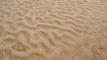 Fototapeta premium Fine grain sand with natural footprints, erosion risk