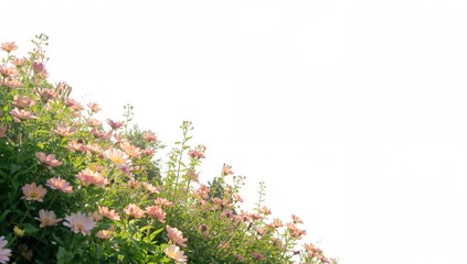 Flowers symbolize significant life events and convey emotions, adding beauty to celebrations