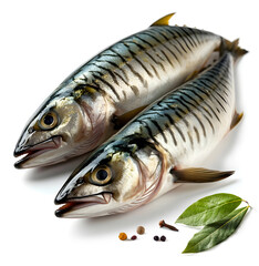 Mackerel with spices on a white background. A ready-made background for design