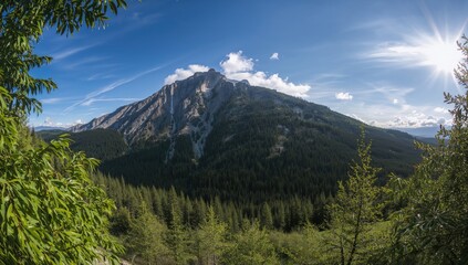 Obraz premium Wide view of towering peaks surrounded by evergreen trees under a clear blue sky