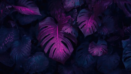 Dark purple tropical foliage with lush botanical leaves