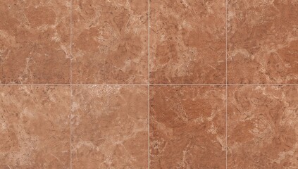Close-up of a terracotta-colored patterned floor tile, ideal backdrop for interior design projects