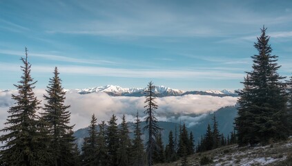 Beautiful mountainous scenery featuring cypress trees and snowy summits