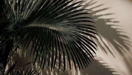 Black palm leaf displaying linear texture, suitable for background design, Earth Day