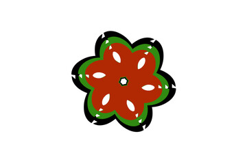 star fruit on a white background