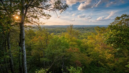 Fototapeta premium Breathtaking view of lush greenery under sunlight, seasonal change