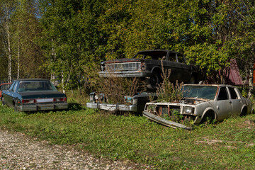 Abandoned Cars in Overgrown Junkyard Setting