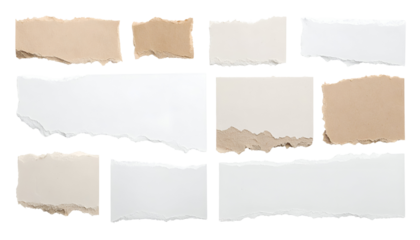 Torn paper strips in various shades and textures