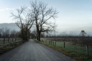 road in the morning fog