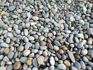 Smooth Multi-Colored Beach Pebbles for Natural Background Texture