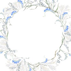 Obraz premium Watercolor floral wreath featuring wild meadow flowers and blue vetch branches. Elegant botanical frame ideal for invitations, logos, packaging, branding, and seasonal graphic design projects