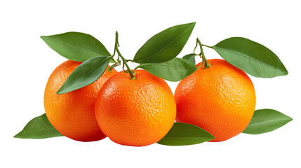 Three fresh tangerines isolated on transparent background